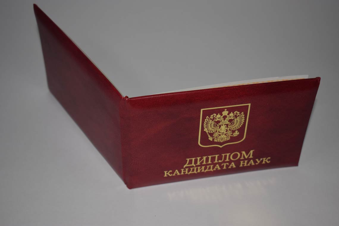 Диплом Кандидата Наук 2017-2025 в Нижневартовске корка